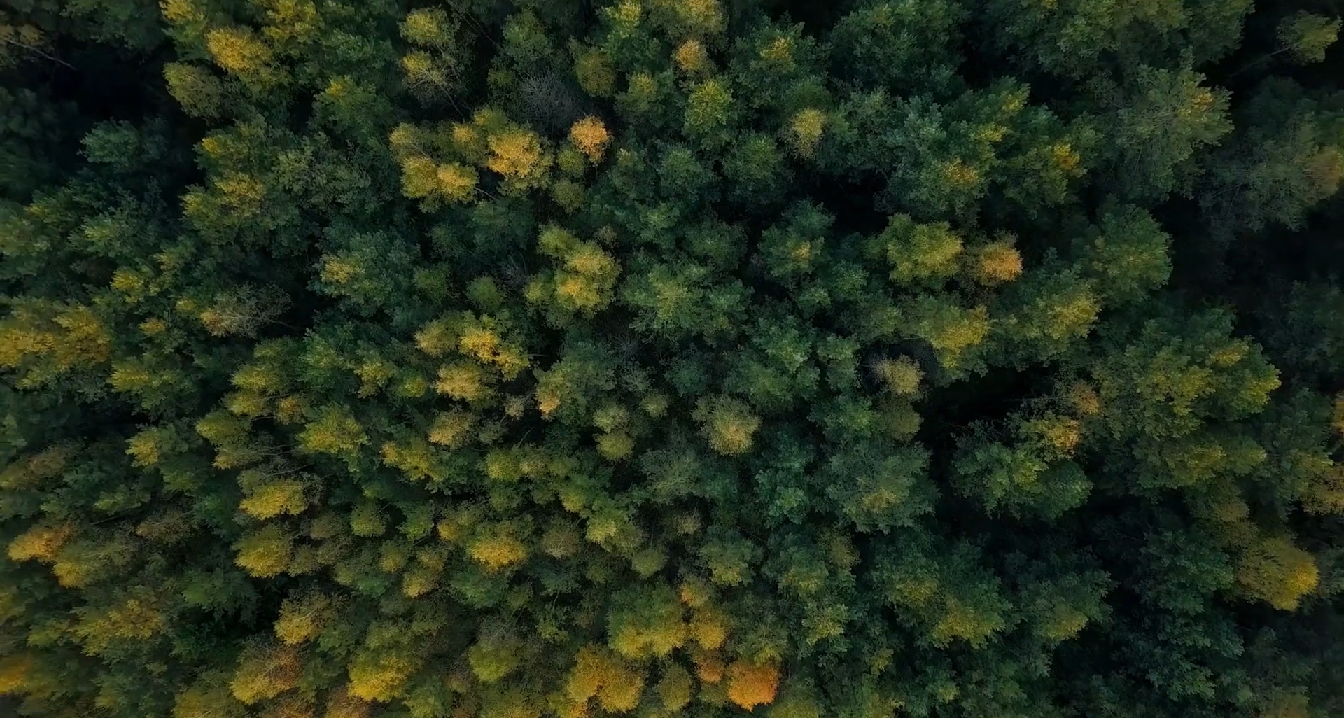 All'Europeo Under 21 in Romania e Georgia la campagna UEFA 'Cleaner Air, Better Game' contro l'inquinamento