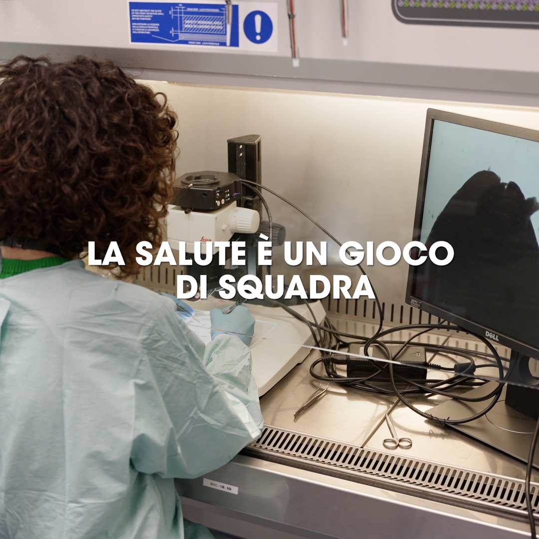 Le iniziative promosse dalla Federazione sul tema della prevenzione