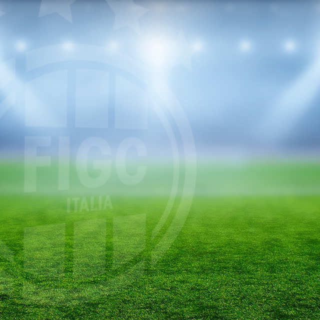 <p><a href=\"https://www.figc.it/it/federazione/la-federazione/commissioni-figc/commissione-federale-responsabile-delle-politiche-di-safeguarding/la-commissione/\"><span style=\"color:hsl(0, 0%, 0%);\">Visita la pagina della Commissione Safeguarding FIGC</span></a></p>